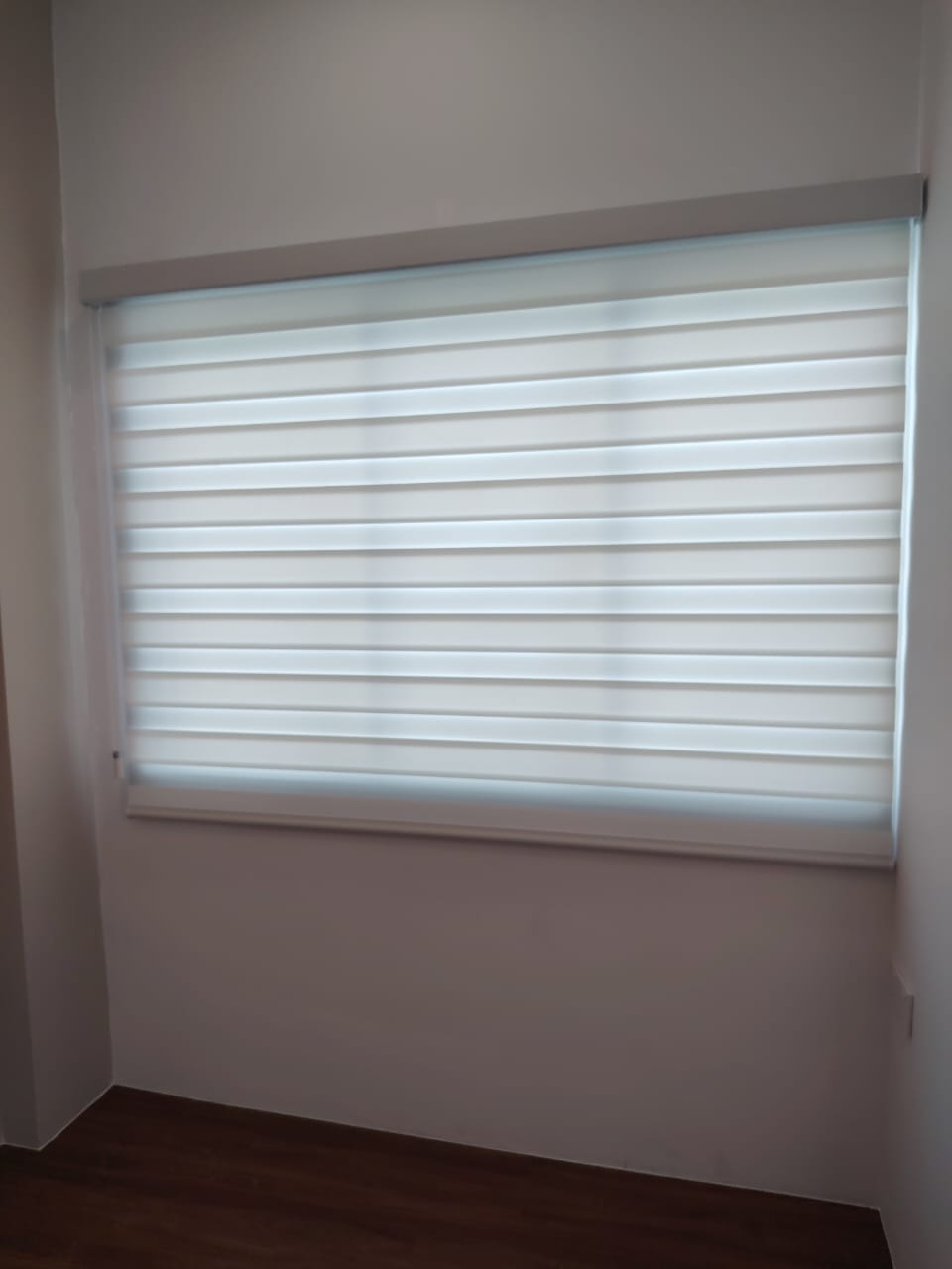 ZEBRA BLINDS